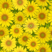 Obrazy i plakaty sunflower flower seamless background