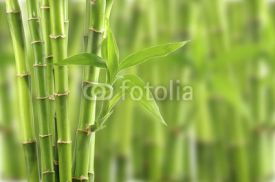 Naklejki bamboo