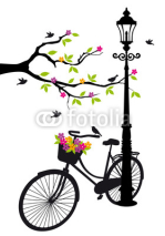 Fototapety bicycle with lamp, flowers and tree, vector