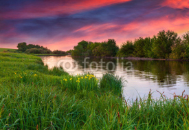 Obrazy i plakaty dramatic sunset over flowering meadow by river