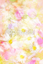 Naklejki Pretty daisies artistic background