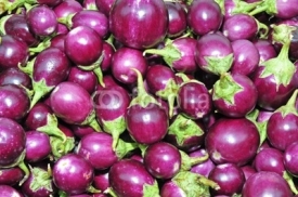 Naklejki eggplant in the markets