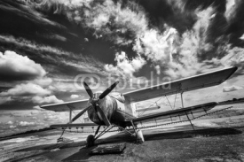 Obrazy i plakaty Old airplane on field in black and white