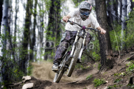 Fototapety Mountainbiker in the forest