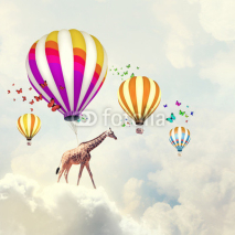 Naklejki Flying giraffe