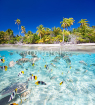 Fototapety Tropical island