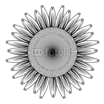 Naklejki sunflower out line vector