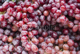 Fototapety Grapes