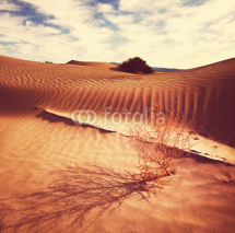 Fototapety Desert