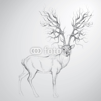 Deer with Antler like tree / Realistic sketch