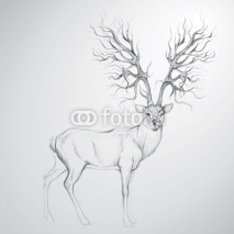 Obrazy i plakaty Deer with Antler like tree / Realistic sketch