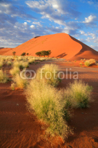 Naklejki Desert landscape, Sossusvlei