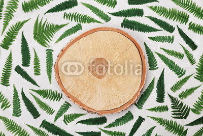 Fern leaves and cross section of birch trunk on gray background top view. Flat lay styling.
