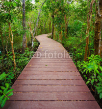 Naklejki Path to the jungle,Trang,Thailand