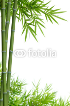 Naklejki bamboo with leaves