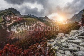 Fototapety Forest autumn landscape in the mountains. High Tatras.