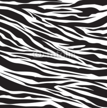 Naklejki zebra pattern