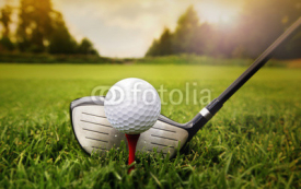 Fototapety Golf club and ball in grass