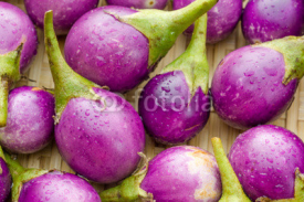 Naklejki Purple eggplant or cockroach berry