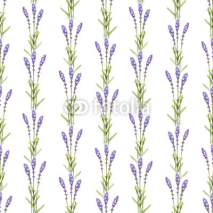 Naklejki Lavender flower illustrations. Watercolor seamless pattern