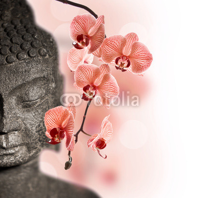 Bouddha et orchidée rouge