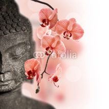Naklejki Bouddha et orchidée rouge