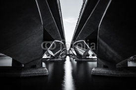 Fototapety The Shadow of Under the Esplanade bridge, Merlion park Singapore