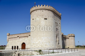 Castle of Arevalo in Avila