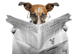 Naklejki dog reading a newspaper
