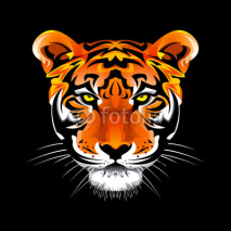 Obrazy i plakaty Tiger