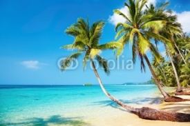 Naklejki Tropical beach