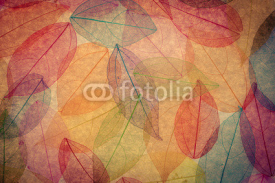 Fototapety Autumn background