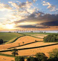 Fototapety Landscape with straw bales against sunset