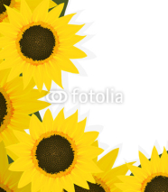 Naklejki Sunflowers corner
