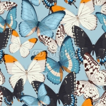 Fototapety Colorful butterflies seamless