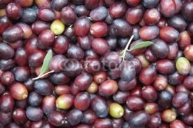 Naklejki Black olives