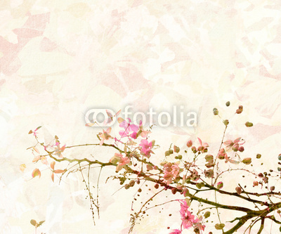 Pink Blossom Digital Painting Background