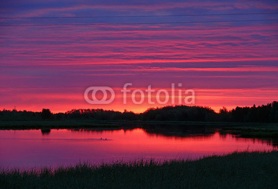 The forest and the Nadym river at sunset. The landscape of the N