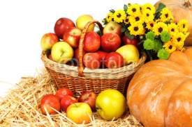 Naklejki Composition with fruits and vegetables close up