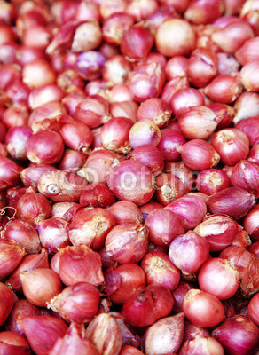 close up many thai onion in sun light