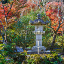 Fototapety Tenryu-ji's Sogen-ji garden in Kyoto