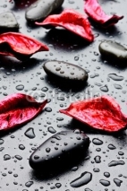 Fototapety pietra nera con gocce d'acqua e petali rossi