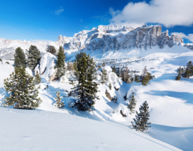 Fototapety winter landscape