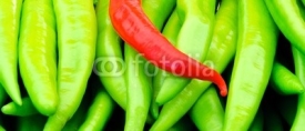 Fototapety Red and green peppers