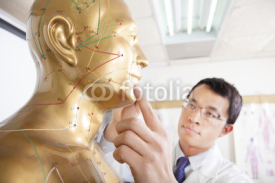 Fototapety chinese medicine doctor teaching  Acupoint on human model