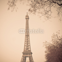 Naklejki The Eiffel Tower