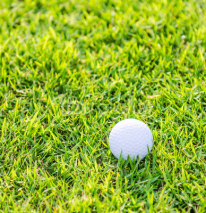 Naklejki Golf ball on green grass