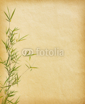 Naklejki branches of a bamboo on old paper background.