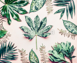 Fototapety Creative layout made of various tropical palm and fern leaves. Exotic plants on pastel pink background, top view, flat lay