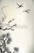 Fototapety pine tree